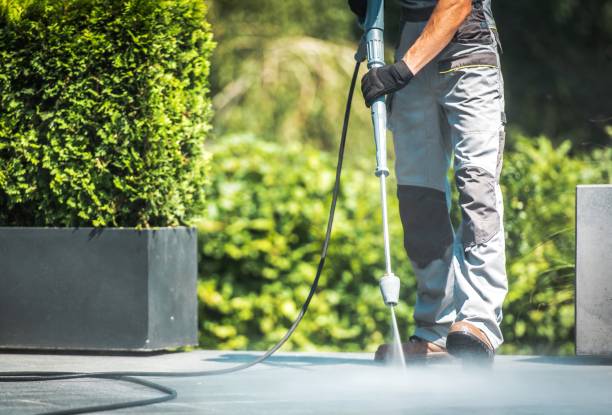 Best Pre-Holiday Cleaning  in Mcadoo, PA